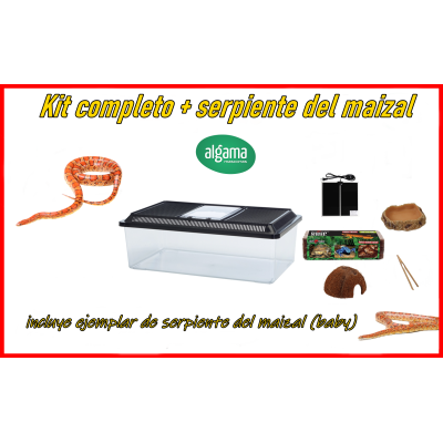 Kit completo + serpiente del maizal